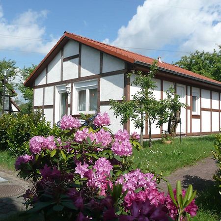 Ferienhaus Kogge im Feriendorf Altes Land Bachenbrock Exterior foto